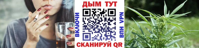 Шишки марихуана гибрид Яблоновский